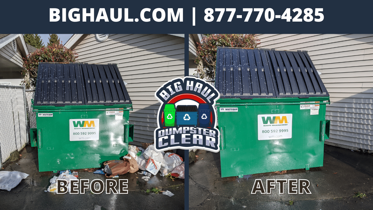 dumpster cleaning service results in seattle